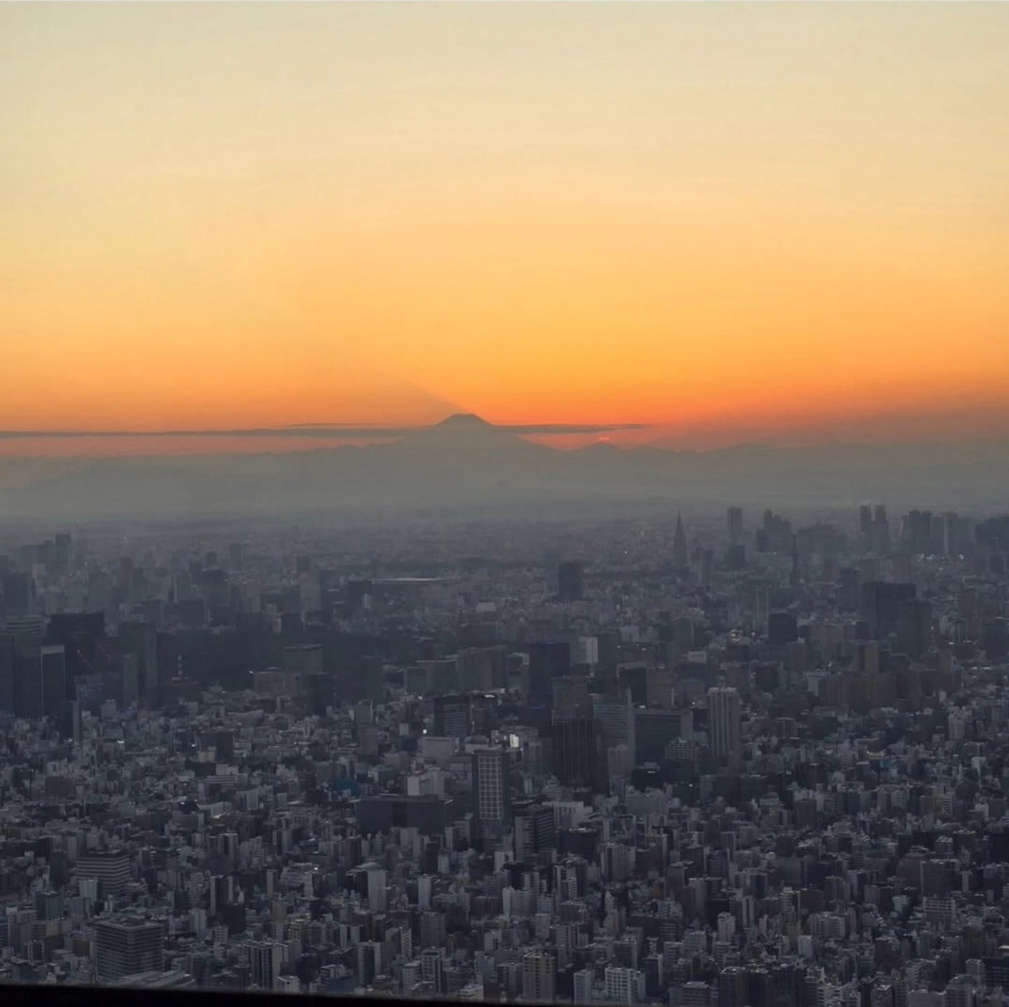 Tokyo Skytree bei Sonnenuntergang: Tokio von oben und Blick auf den Fuji